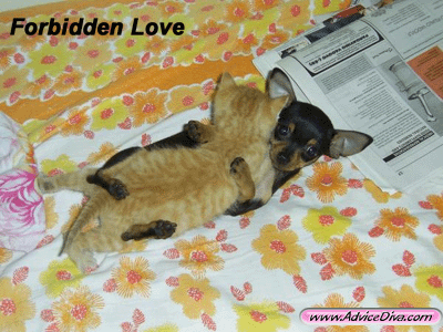 forbidden