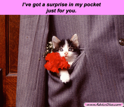 pocket