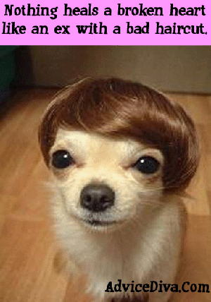 toupee